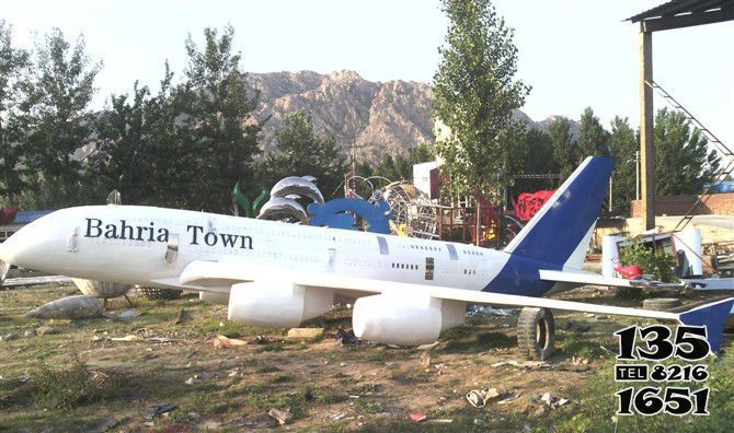 飛機雕塑-公園草坪創意彩繪玻璃鋼工藝品飛機雕塑 飛機雕塑-公園草坪創意彩繪玻璃鋼工藝品飛機雕塑高清圖片
